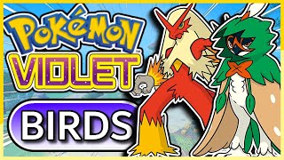 Pokémon Violet  BIRDS that cant FLY  Hardcore Nuzlocke [upl. by Yorle]