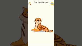 Find the white tiger [upl. by Talyah]