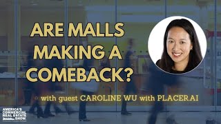 Are Malls Making a Comeback [upl. by Aldon]