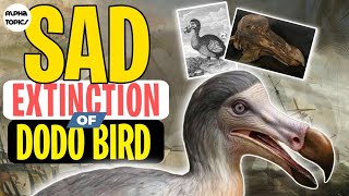 Who Killed The DODO BIRDS  Biggest Mistake Of Humans [upl. by Caprice699]