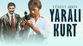 Yaralı Kurt Türk Filmi  FULL  CÜNEYT ARKIN  AHMET MEKİN [upl. by Nyletac261]