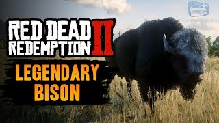 Red Dead Redemption 2 Legendary Animal  Legendary Tatanka Bison [upl. by Eilyw]