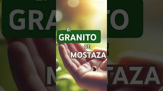 El grano de Mostaza shorts [upl. by Mingche]