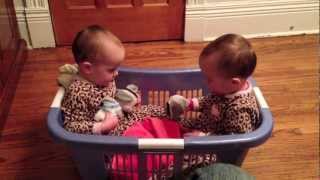 Twin Babies Talking in a Laundry Basket [upl. by Atinihs]