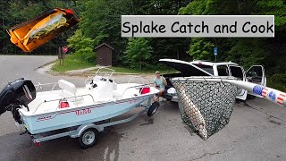 Catching Splake on 15ft Boston Whaler Montauk [upl. by Ayoral]