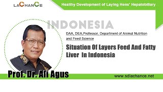 Highlights of Lachance Forum  Situation of Layers Feed and Fatty Liver in Indonesia [upl. by Burd]