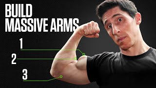 The Surest Way to Get Big Arms Fast Biceps and Triceps [upl. by Nospmas]