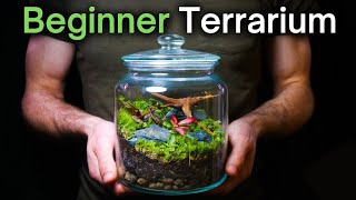 How To Make a Terrarium An InDepth Tutorial [upl. by Onirefez]