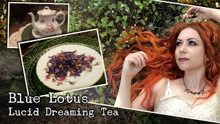 Blue Lotus Lucid Dreaming Tea [upl. by Ducan]