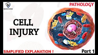 Cell Injury Pathology  Reversible and Irreversible Cell Injury  Part 1 [upl. by Esil408]