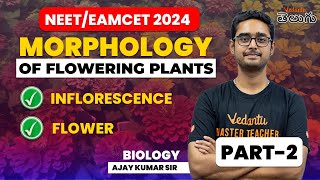 Morphology of Flowering Plants  Part2  EAMCETNEET 2024  Ajay sir  Vedantu Telugu [upl. by Anirba]