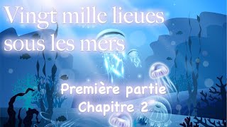 Vingt mille lieues sous les mers Première partie Chapitre 2  Jules Verne [upl. by Laurie]