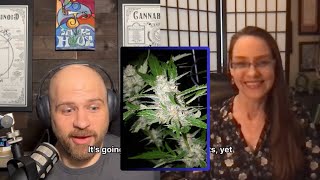 Hermaphrodite Cannabis Plants  Janna Champagne [upl. by Malonis]