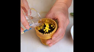 Indoor plant care hacks for plant lovers 🌿 shorts planting garden diy indoor [upl. by Berg]