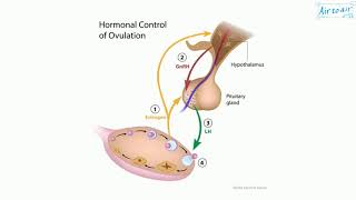 luteinizing hormone [upl. by Calvin]