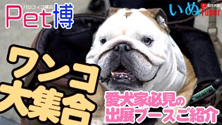 ペット博パシフィコ横浜ワンコ大集合！松本秀樹が会場で大暴れ！愛犬家必見の出典ブースご紹介 [upl. by Tiphani]