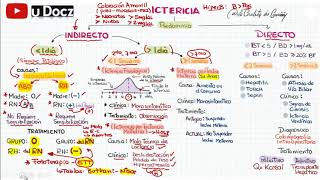 ICTERICIA NEONATAL [upl. by Aika]