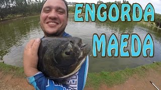 EP 24  TANQUE DE ENGORDA MAEDA [upl. by Repohtsirhc]