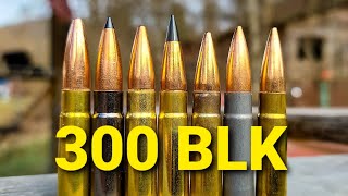 300 BLK AMMO TEST  100 Yard Group Test [upl. by Landes230]