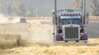 Idaho Wheat Harvest [upl. by Pelmas]