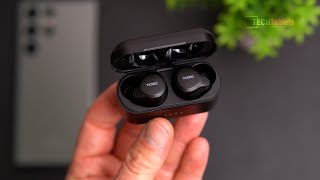 TOZO NC7 Review  You Cant Go Wrong With These [upl. by Betteanne]