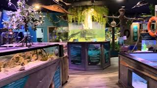 A quick tour through Mertailor’s Mermaid Aquarium Encounter [upl. by Kee]