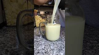 Making Raw Lemonade in a Juicer [upl. by Ecyt]