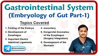 Embryology of Gastrointestinal system  Development of Foregut Part  1 [upl. by Germin]