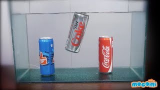 Coke vs Diet Coke Experiment  Science Projects for Kids  Educational Videos by Mocomi [upl. by Yzzo]