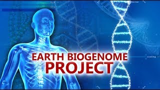 In Depth  Earth Biogenome Project [upl. by Nerraf]