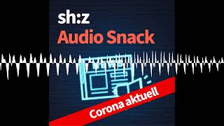 1006 Kritik an der neuen Grundsteuerreform für SchleswigHolstein  shz Audio Snack [upl. by Tram431]