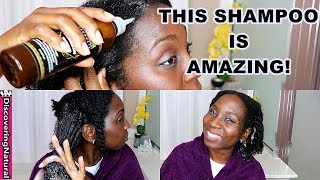 Best Shampoo for Natural Hair Growth and Alopecia  Kadima Black Soap Shampoo [upl. by Celine]