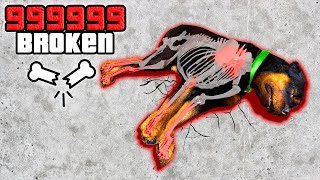 Breaking EVERY BONE As CHOP in GTA 5 [upl. by Rahab]