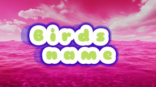 10 BirdsBirds names in englishBirds names in English Birds rhymes for play group [upl. by Etteroma580]