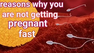 Reasons why you dont get pregnant fast after unprotected sex [upl. by Possing131]