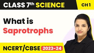 What is Saprotrophs  Nutrition in Plants  Class 7 Science Chapter 1 202223 [upl. by Retnyw]