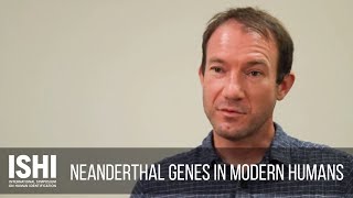 Neanderthal Genes in Modern Humans [upl. by Geanine]