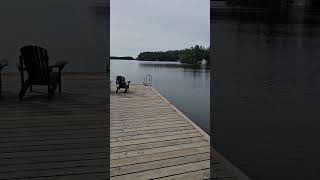 Beautiful Muskoka Lakes travel [upl. by Ilke]