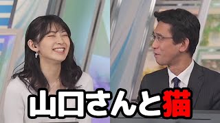 【檜山沙耶・山口剛央】何気なく聞いたつもりが山口さんから面白すぎる猫エピソードを引き出してしまうお天気キャスター [upl. by Primaveria]