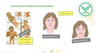 Cápsula quotAlteraciones de los sistemas nervioso endocrino e inmunológicoquot [upl. by Severen]