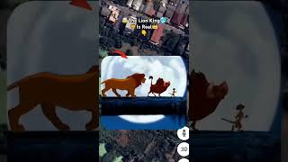 The lion king part 5 animals koreanmoviesinhindi lionking shortyt shortyt kdrama sher [upl. by End]