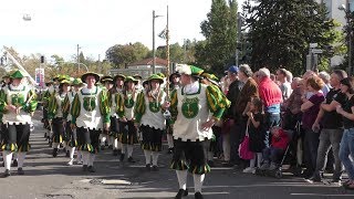 WINZER FESTUMZUG NEUSTADT 2019 [upl. by Lleinad]