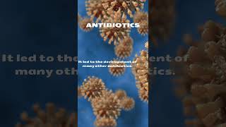 The Development of Antibiotics Fighting Bacterial Infections [upl. by Matelda149]