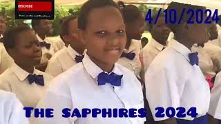 Prayer Day March Pass The Sapphires 2024 [upl. by Marala]