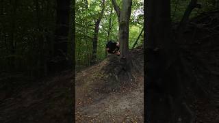 Parkour in nature parkour flip movement [upl. by Rick]