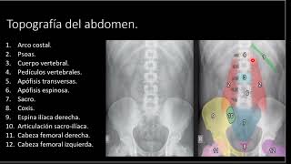 Radiologia básica de la radiografia del abdomen simple hepatomegalia cirrosis [upl. by Yddub400]