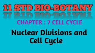 11 std BioBotany Chapter  7 Cell Cycle  Nuclear divisions and Cell cycle [upl. by Kindig173]