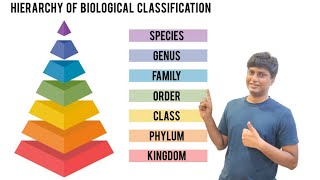 What is Taxonomic Heirarchy [upl. by Htezil]