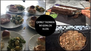 GELİN GİRDİ OCAĞA OCAK İNDİ AŞAĞIYA  ANNEMİN MİSAFİR MENÜSÜ TEYZEME SÜRPRİZ  İKİ GÜNLÜK VLOG [upl. by Natividad48]