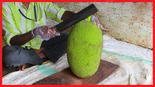 FRUIT NINJA of RAW JACKFRUIT  Amazing Jackfruit Fruits Cutting Skills  Indian Street Food In 2018 [upl. by Awram]